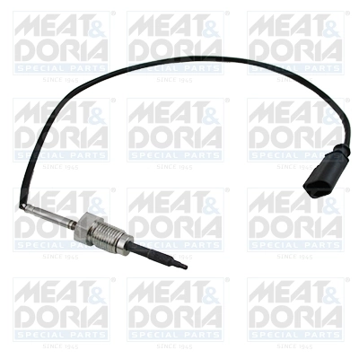 Sensor, exhaust gas temperature